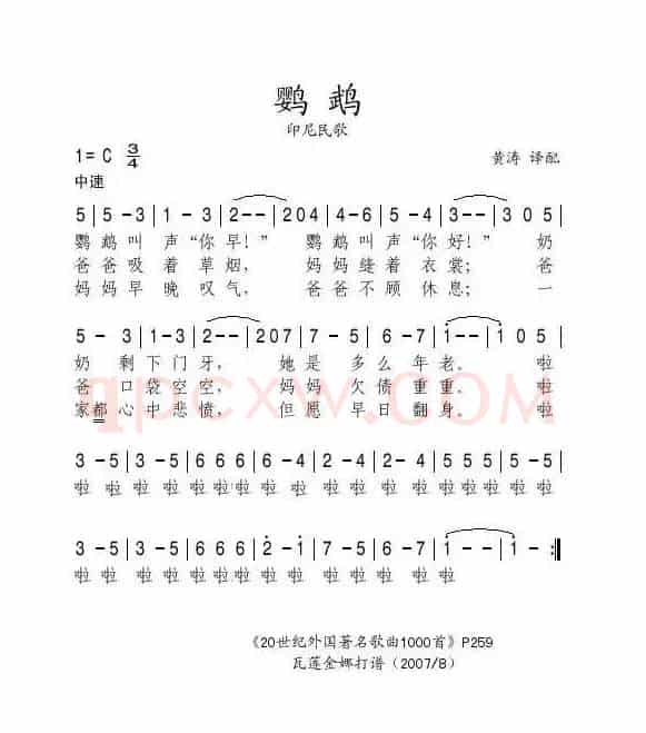 [印尼] 鹦鹉