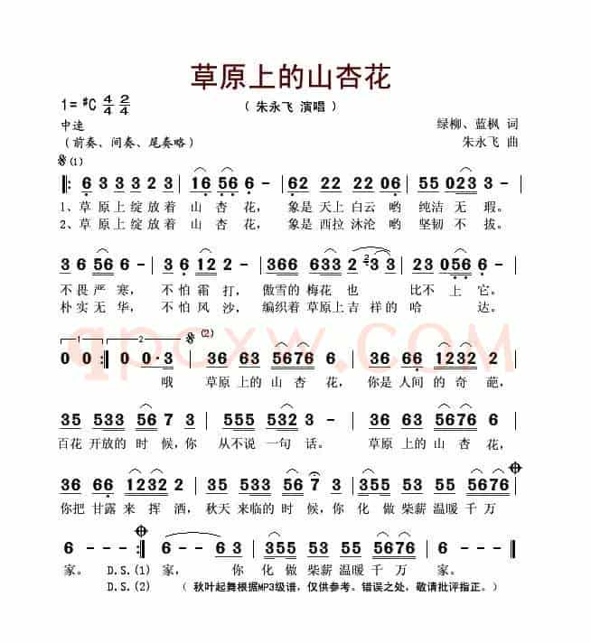 草原上的山杏花