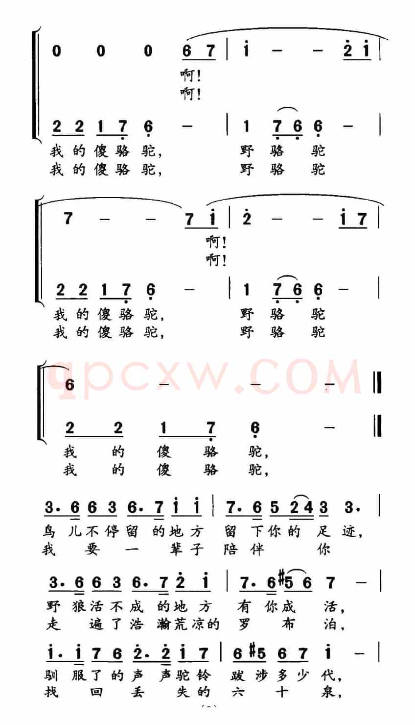 野骆驼 傻骆驼（高枫词 黄宇新曲）