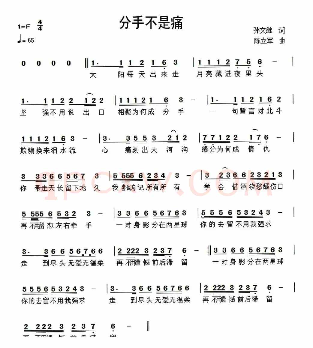 分手不是痛（孙文继词 陈立军曲）