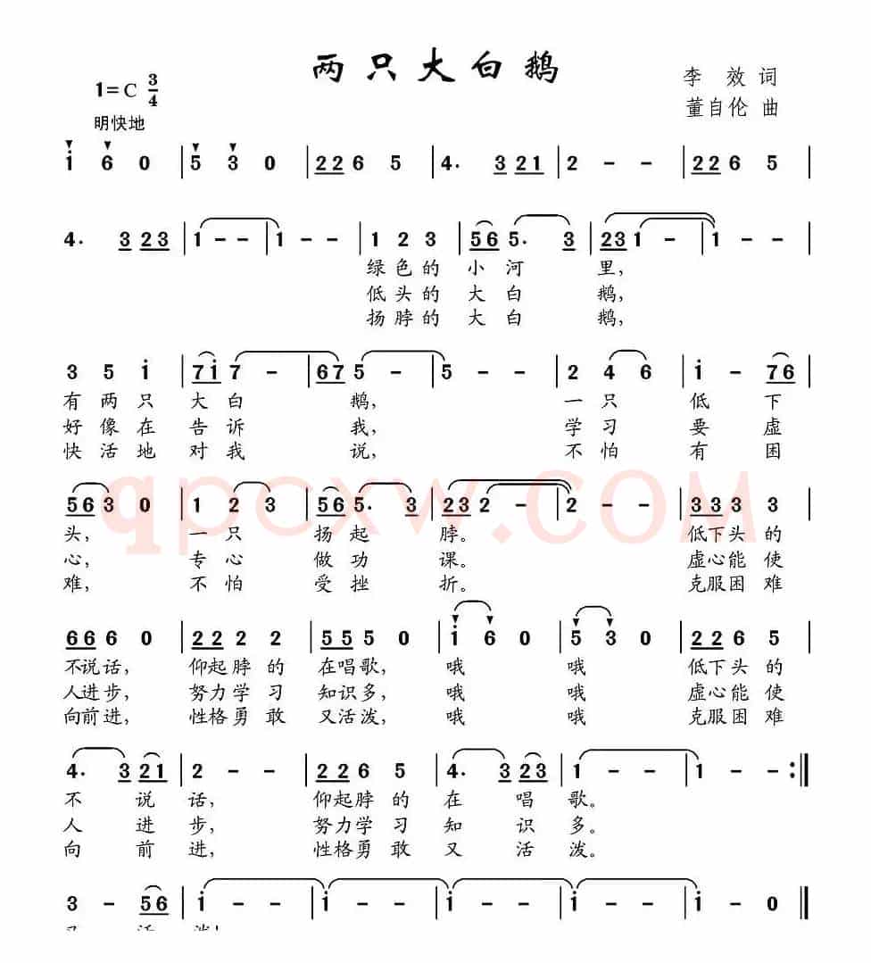 两只大白鹅