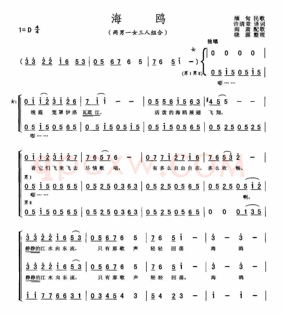 [缅甸]海鸥（二男一女三人组合）