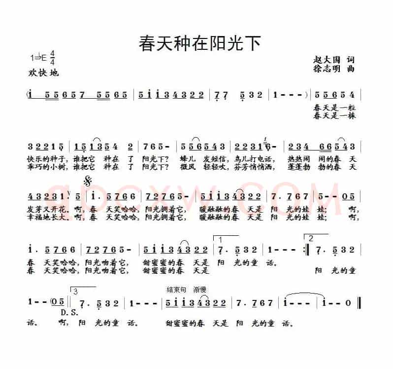 春天种在阳光下