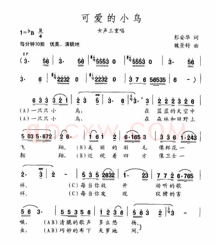可爱的小鸟