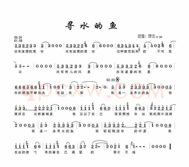 寻水的鱼