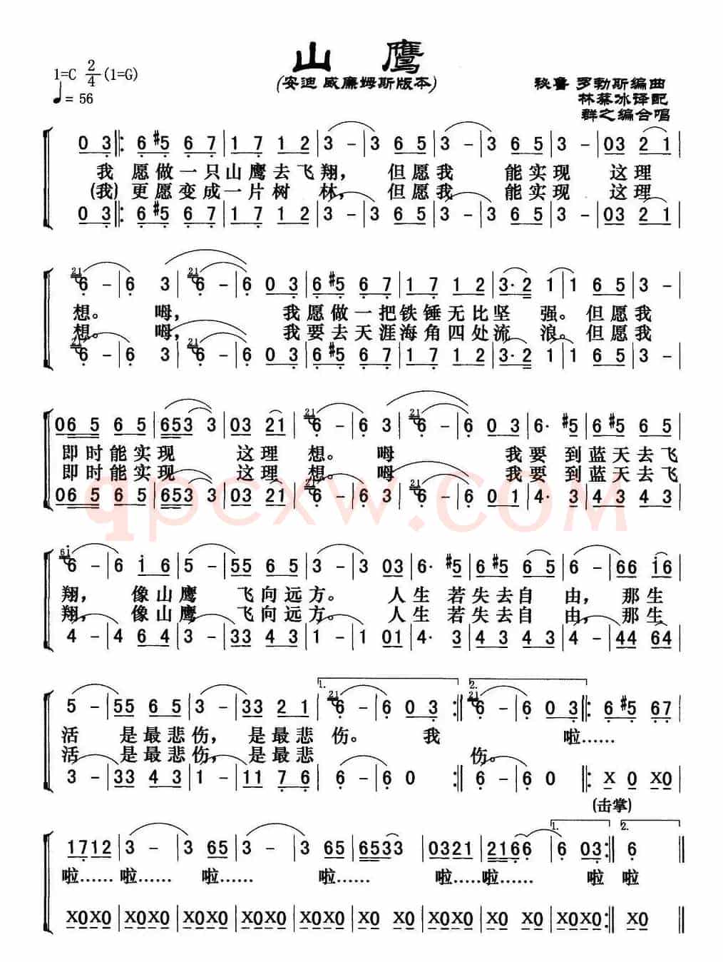 [秘鲁]山鹰（安迪、威廉姆斯版）