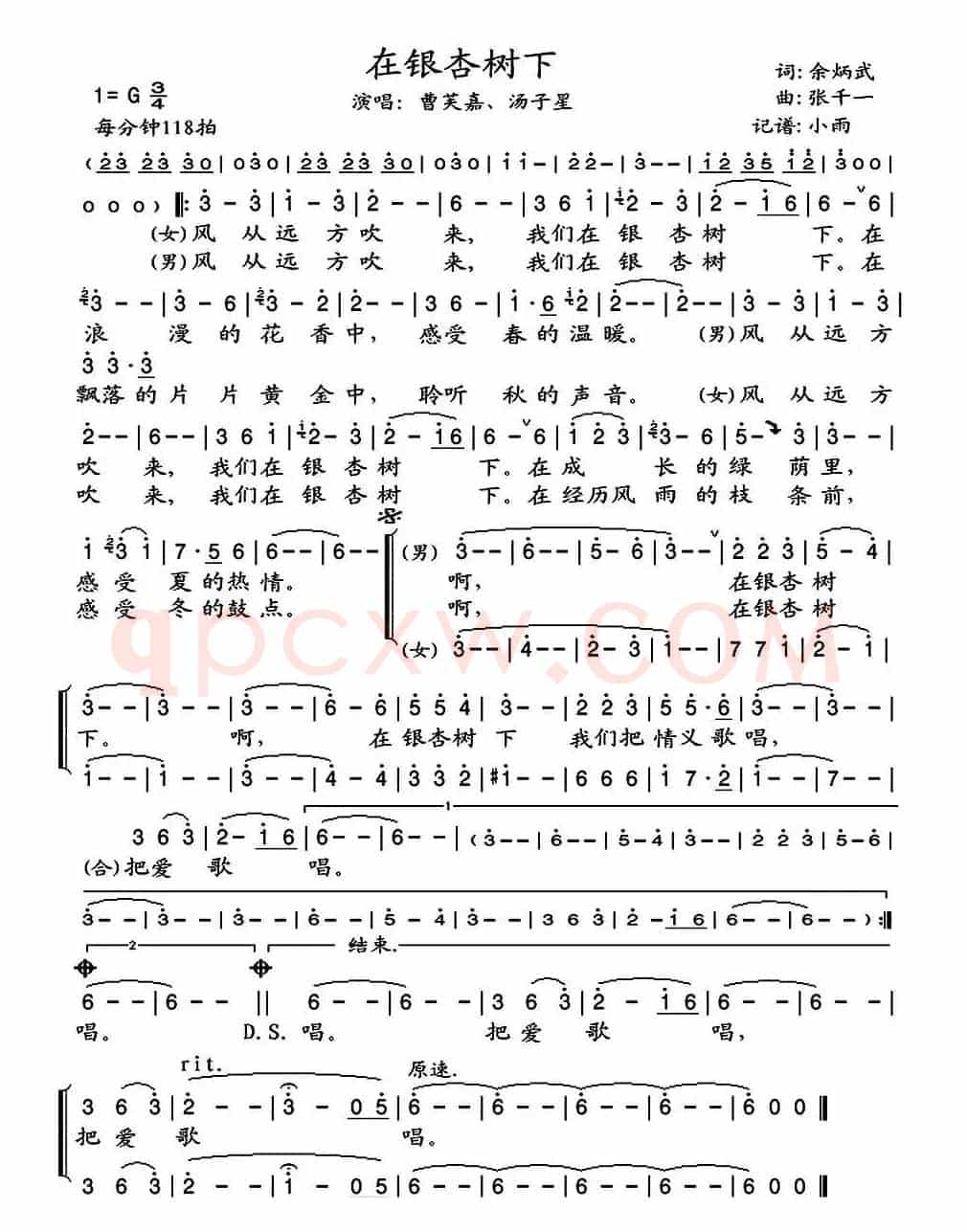 在银杏树下