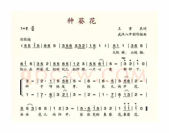 种葵花（王重农词 武汉八中曲）