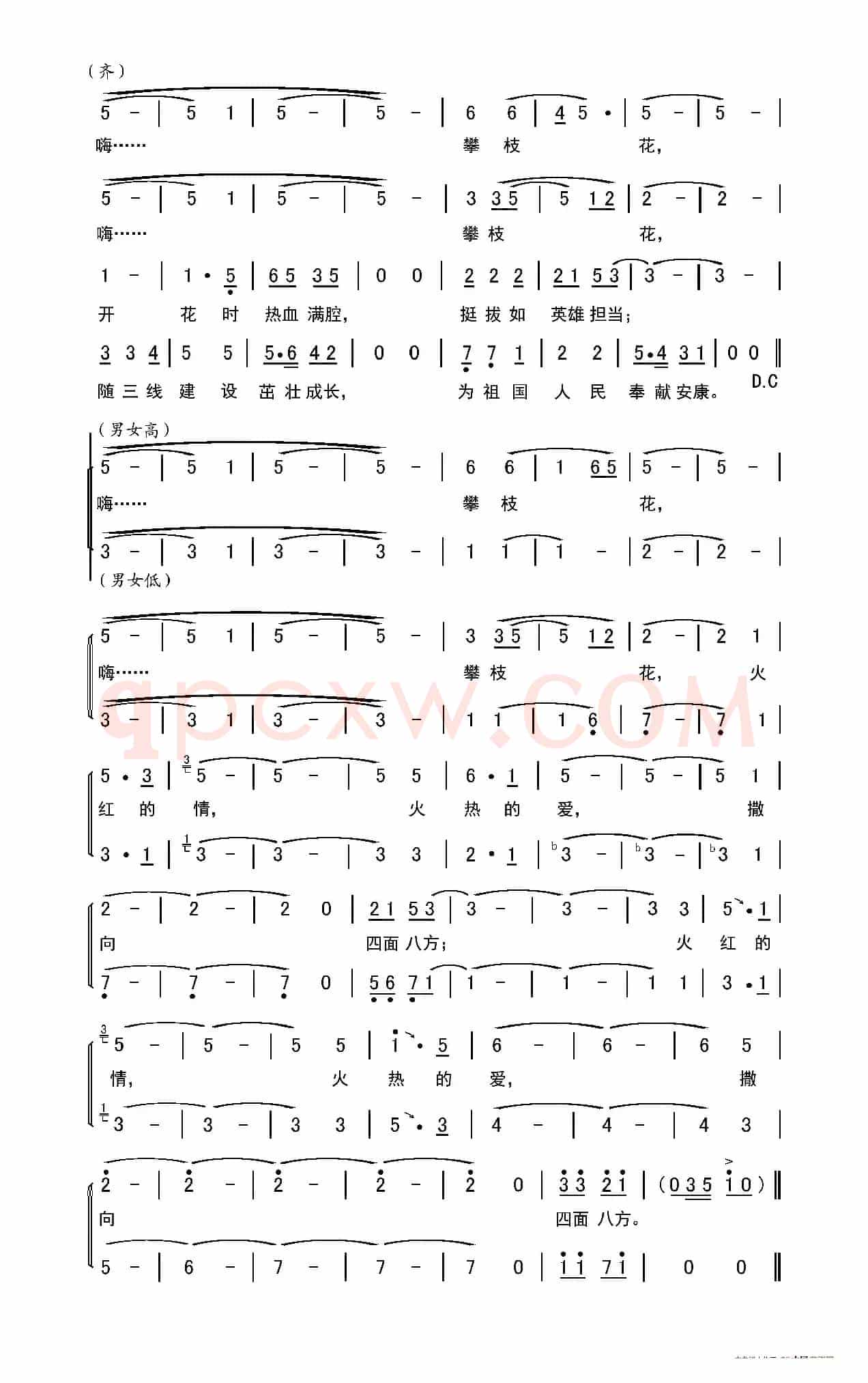 燃情攀枝花(合唱曲、广场舞曲)