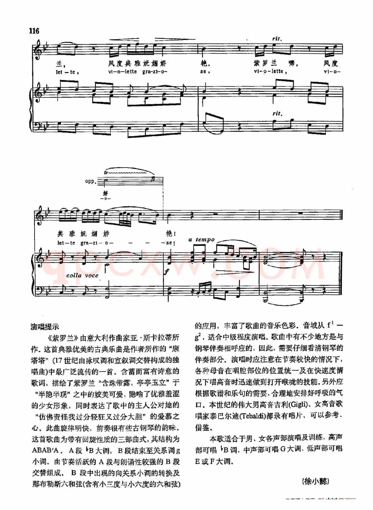 声乐教学曲库3-[意]25紫罗兰（正谱）