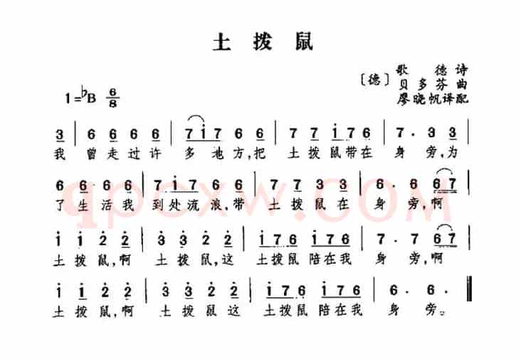 [德]土拨鼠