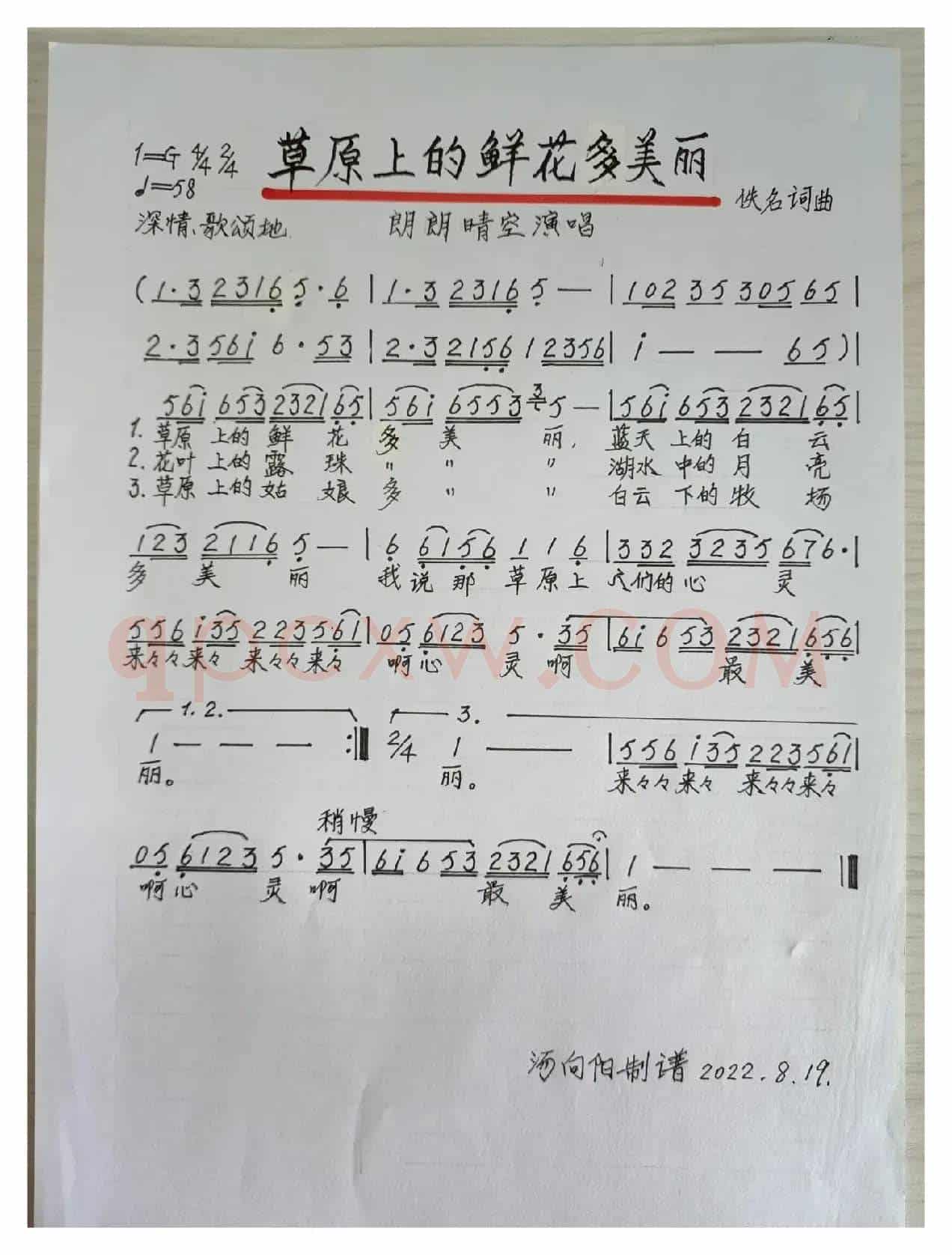 草原上的鲜花多美丽