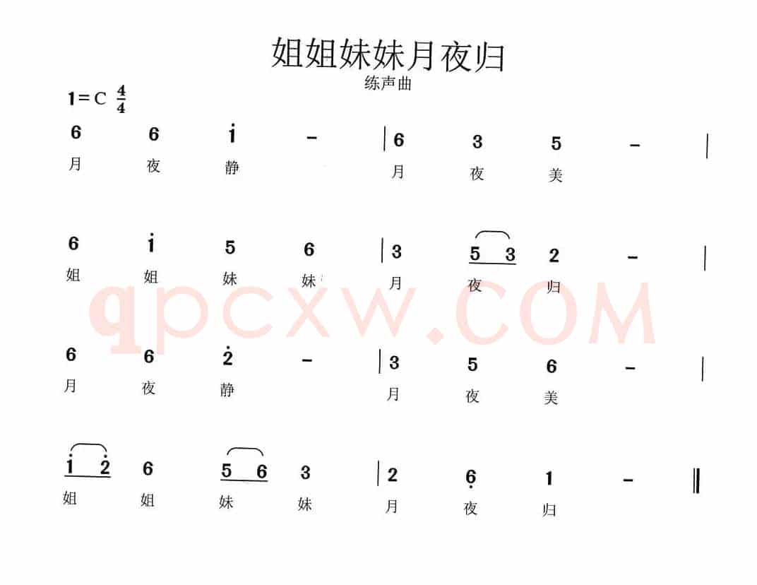 姐姐妹妹月夜归