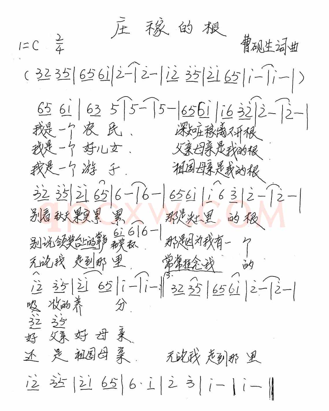 庄稼的根