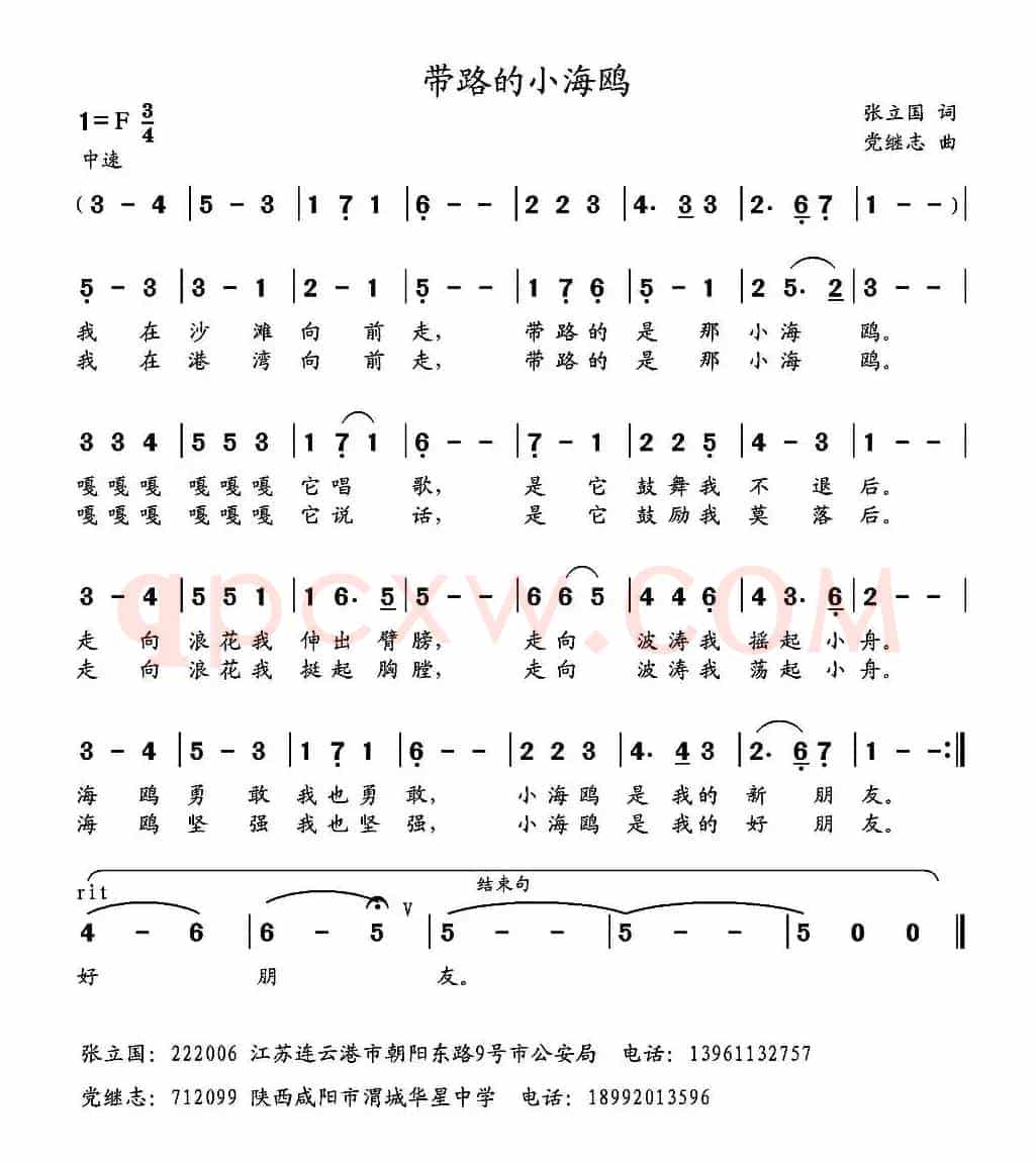 带路的小海鸥