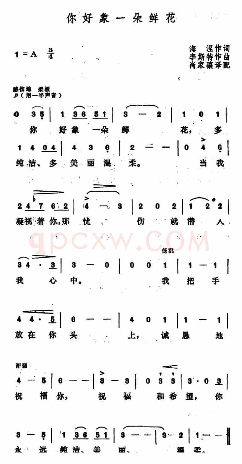 [匈]你好象一朵鲜花 