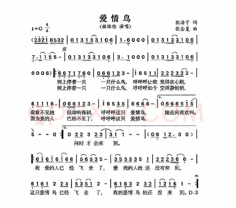 爱情鸟