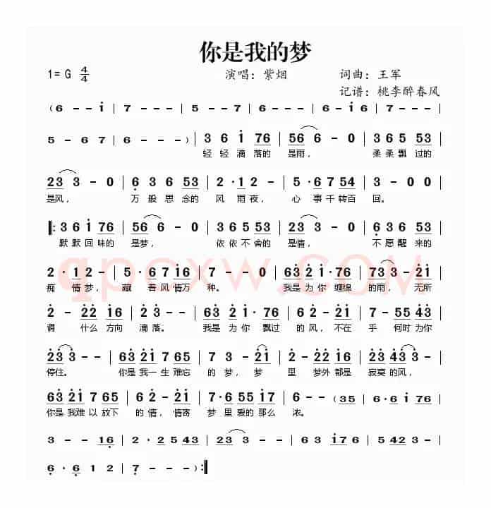 你是我的梦（王军 词曲）