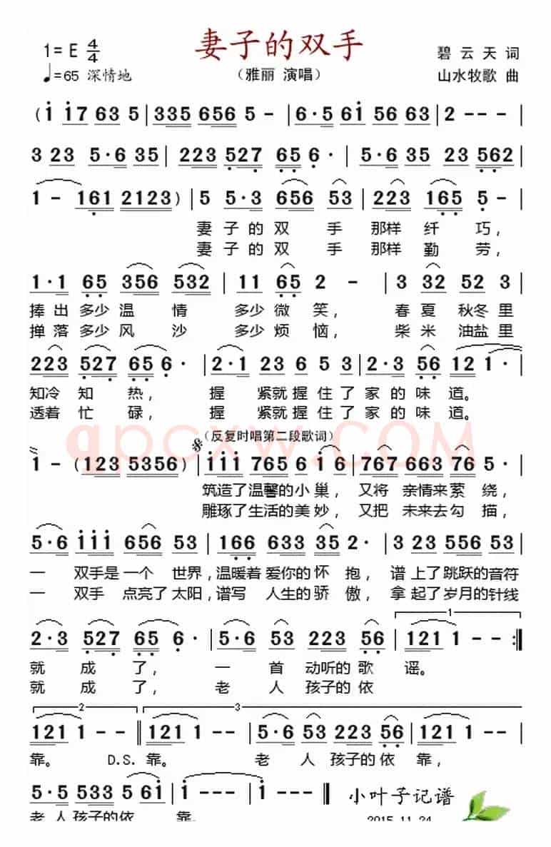 妻子的双手 