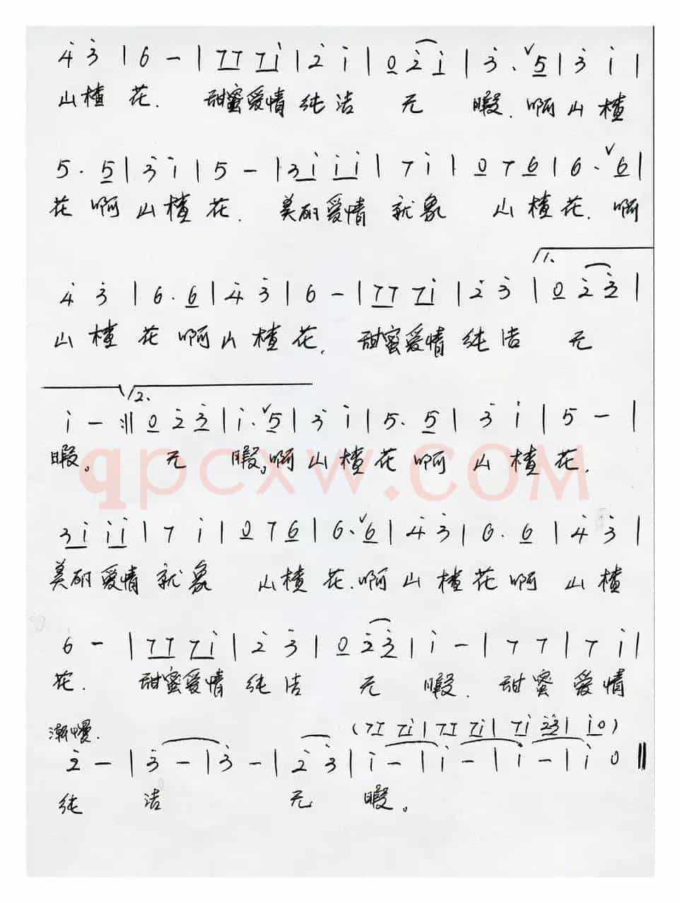 我们去看山楂花