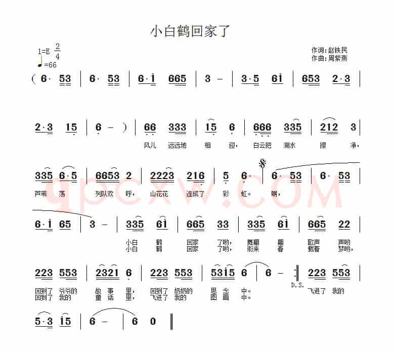 小白鹤回家了