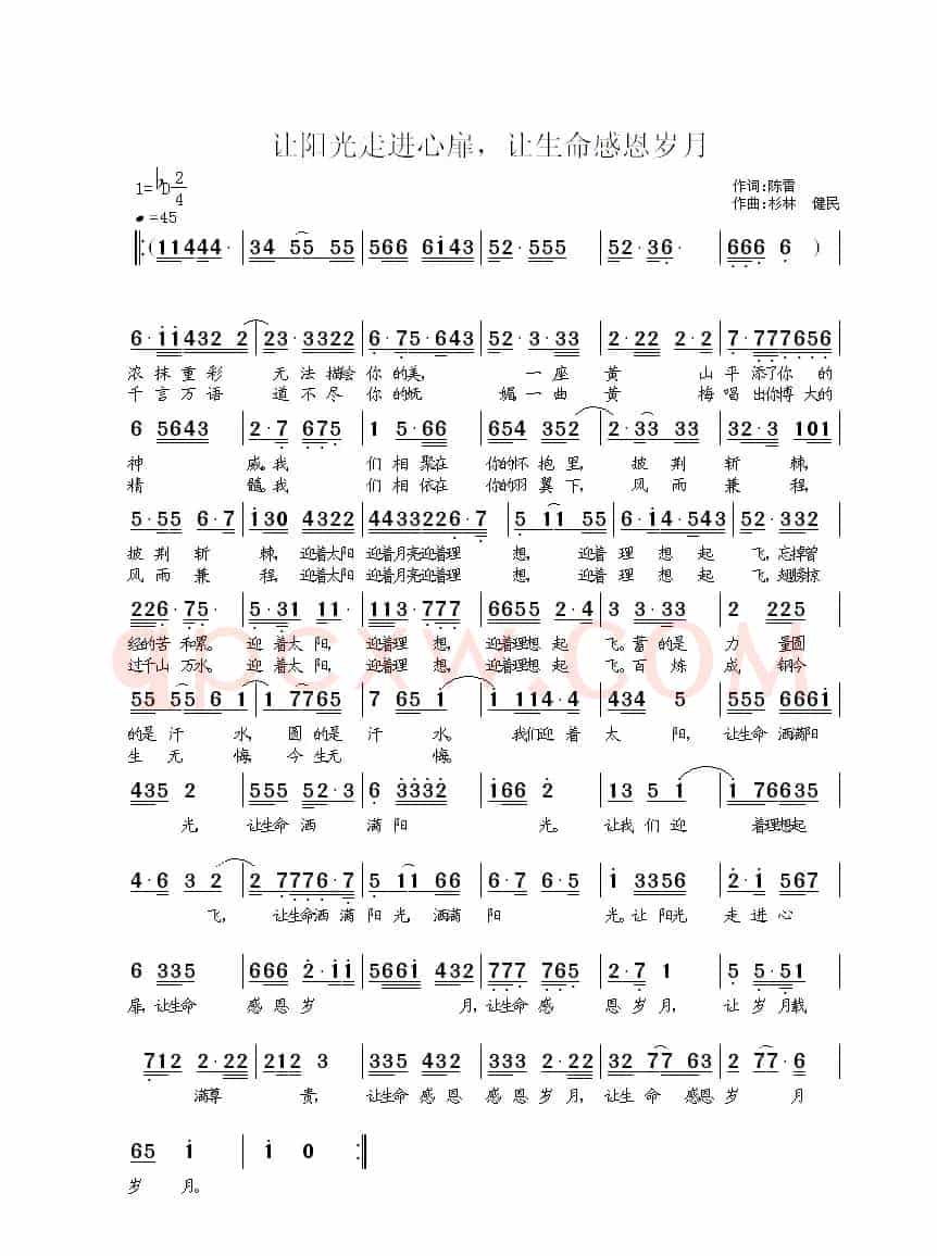 迎着太阳飞