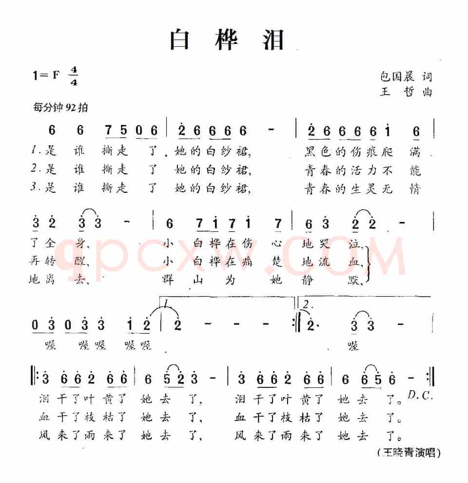 白桦泪