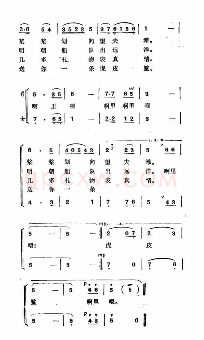 姑娘摇船过海湾