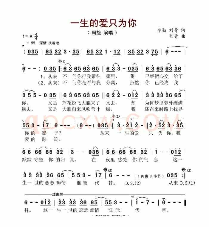 一生的爱只为你
