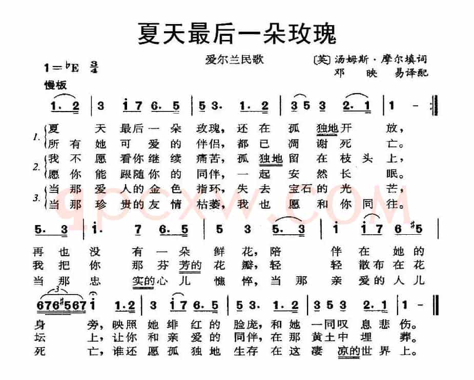 [爱尔兰] 夏天最后一朵玫瑰