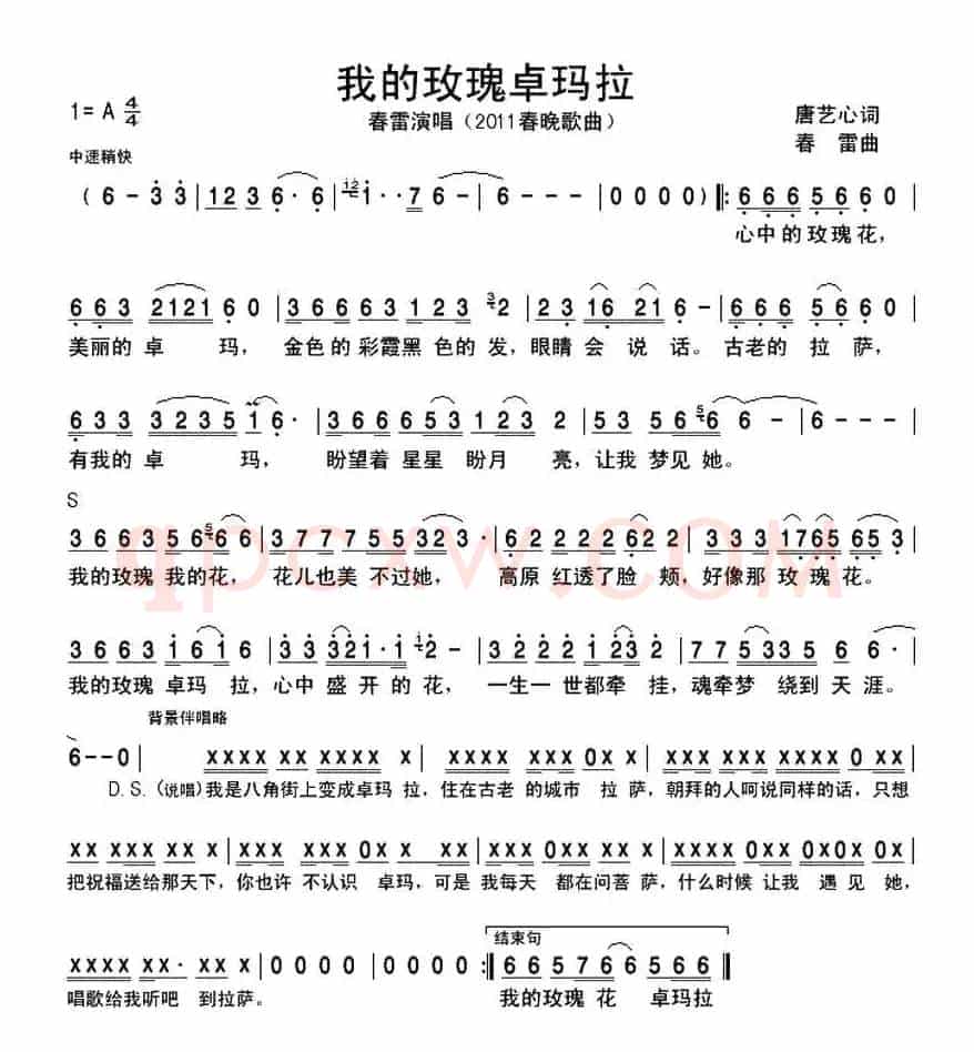 我的玫瑰卓玛拉