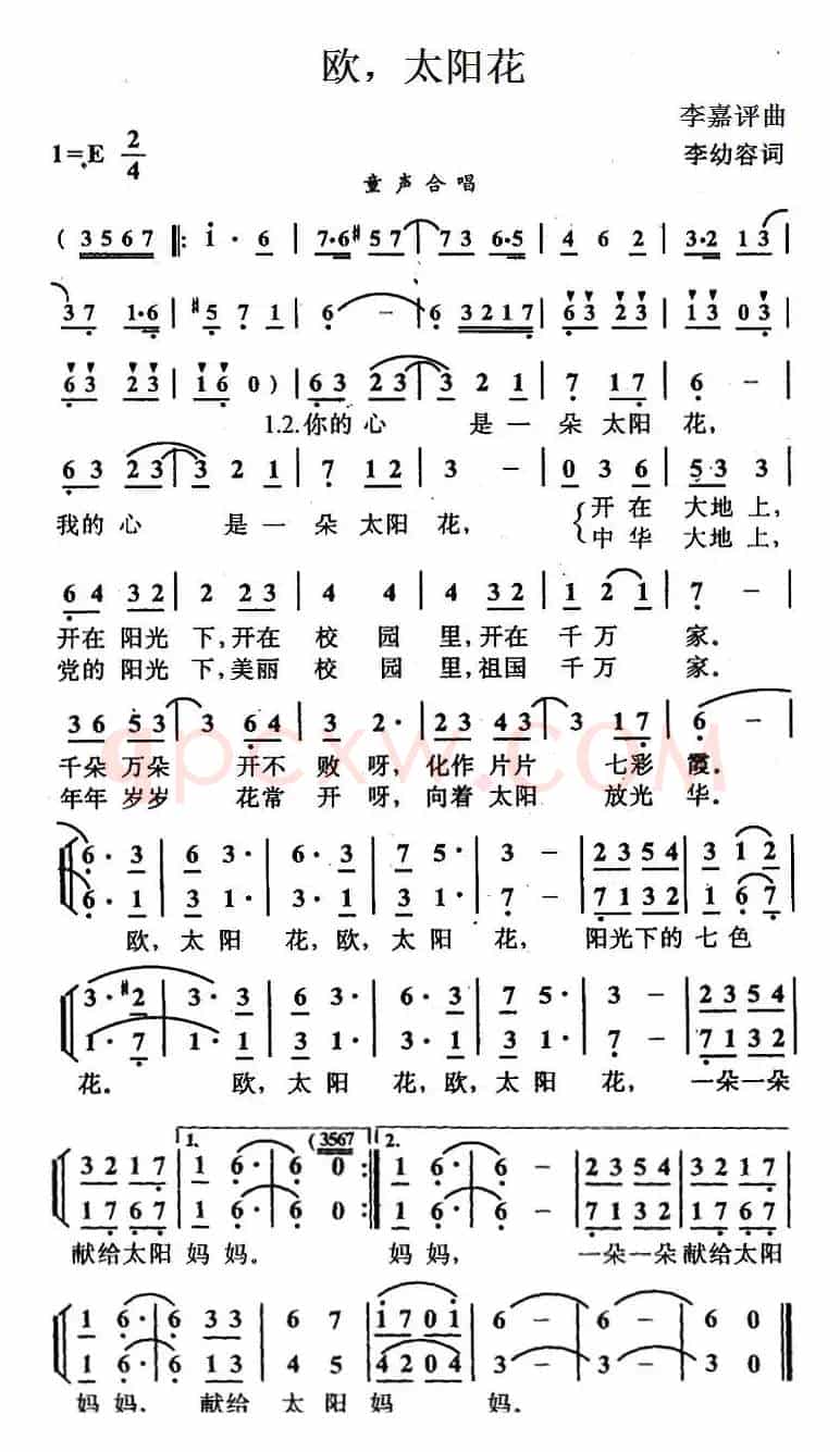 欧，太阳花