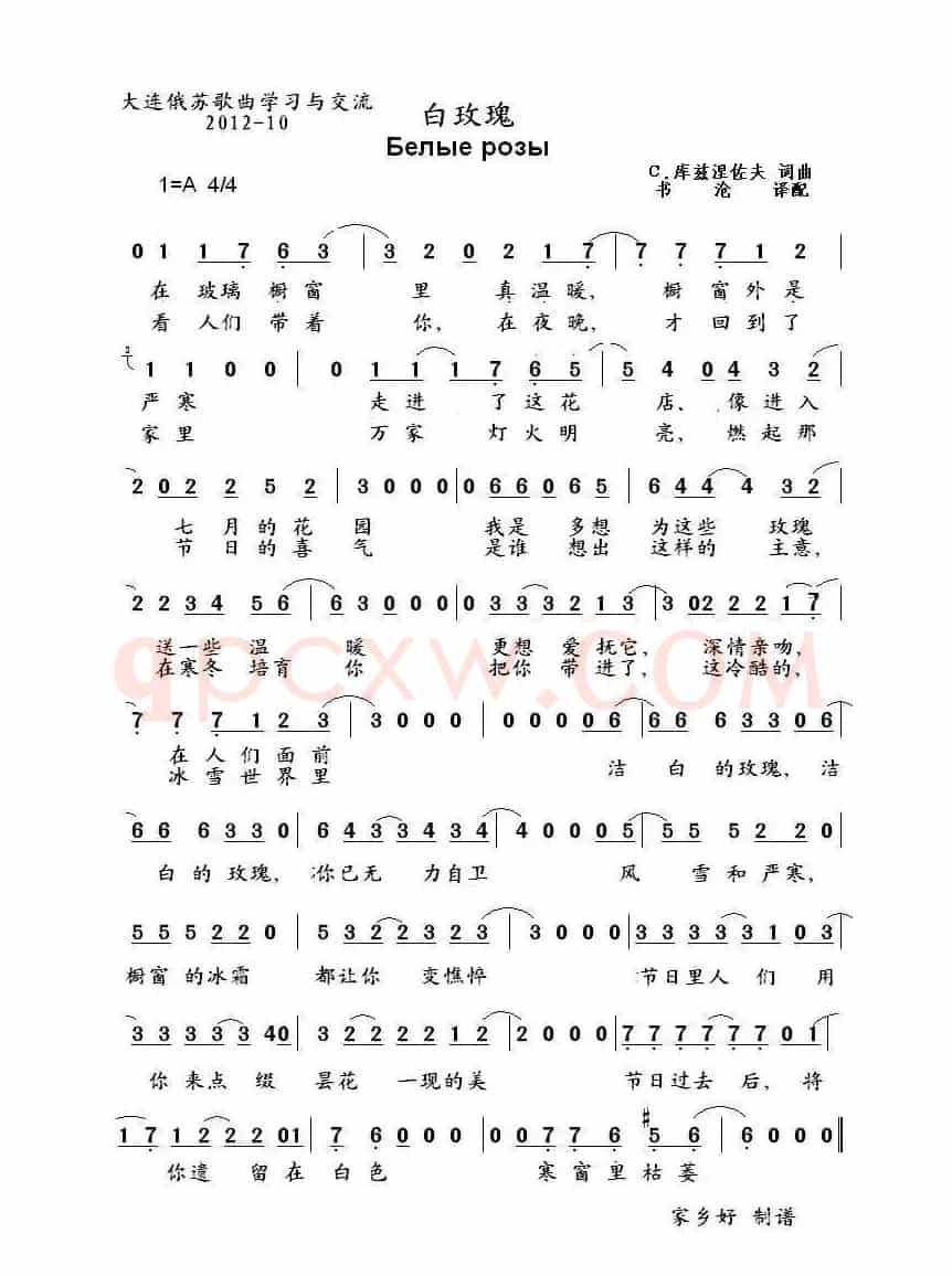白玫瑰 Белые розы  （中俄简谱）