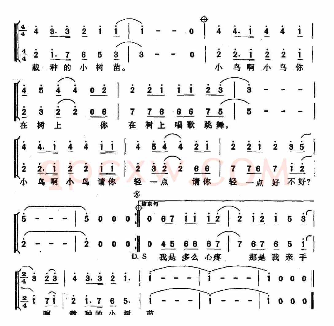 一只小鸟（张俊以词 孟适曲、二重唱）