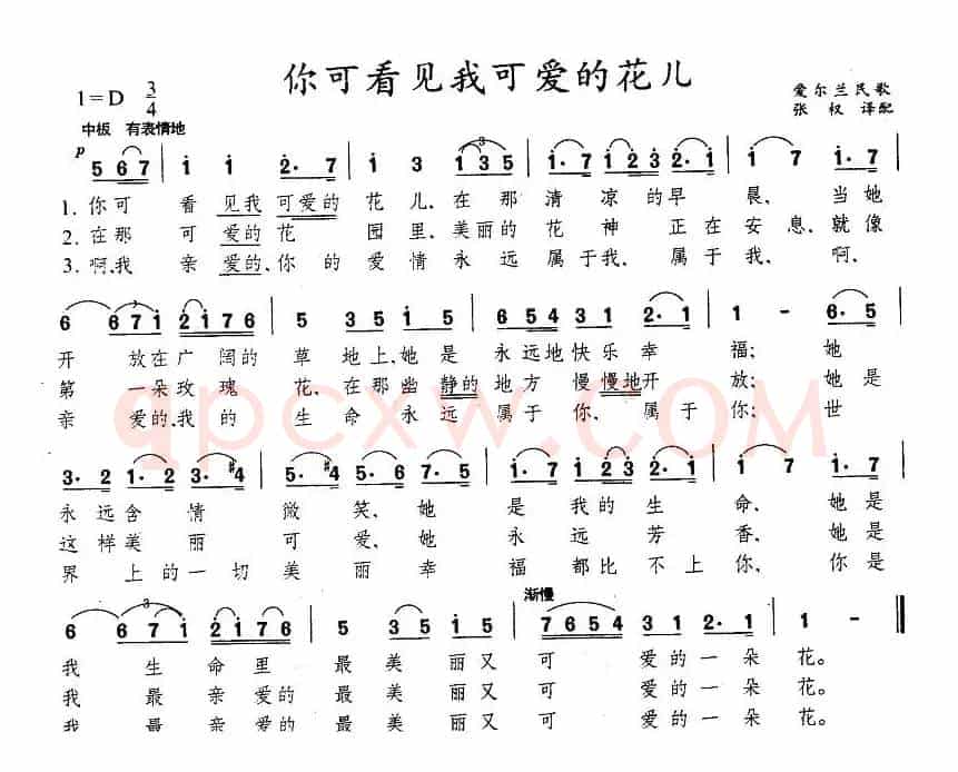 你可看见我可爱的花儿（爱尔兰）