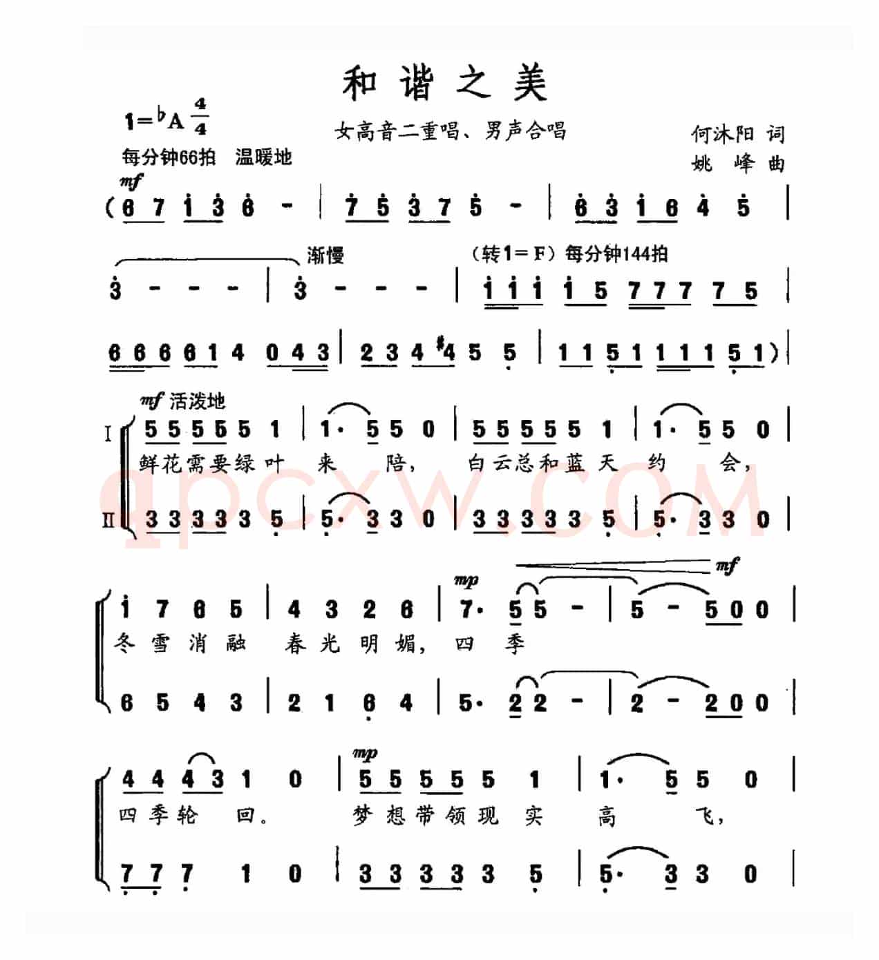 和谐之美