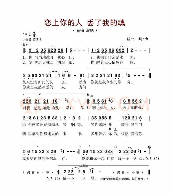 恋上你的人 丢了我的魂