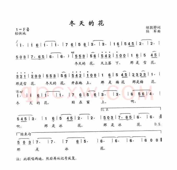 冬天的花