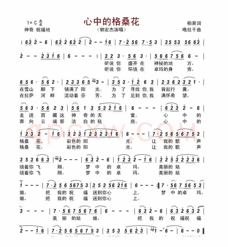 心中的格桑花         