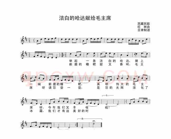洁白的哈达献给毛主席
