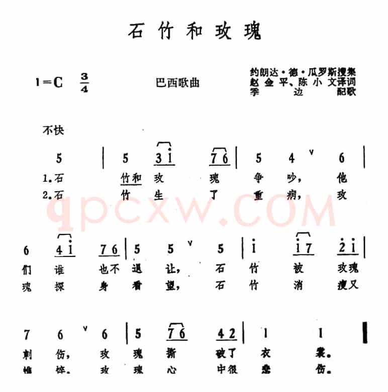 [巴西]石竹和玫瑰 
