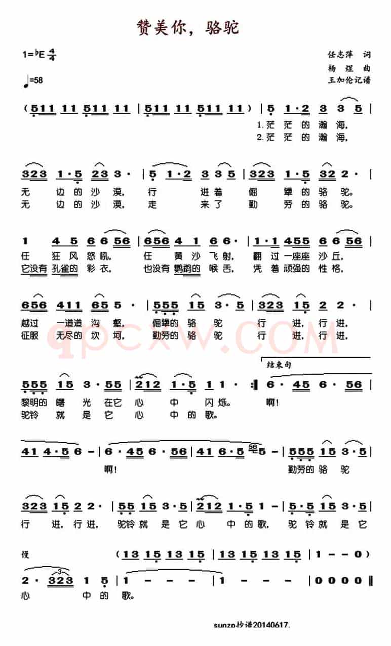 赞美你，骆驼（杨煜曲）