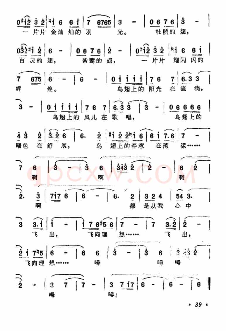 鸟翅