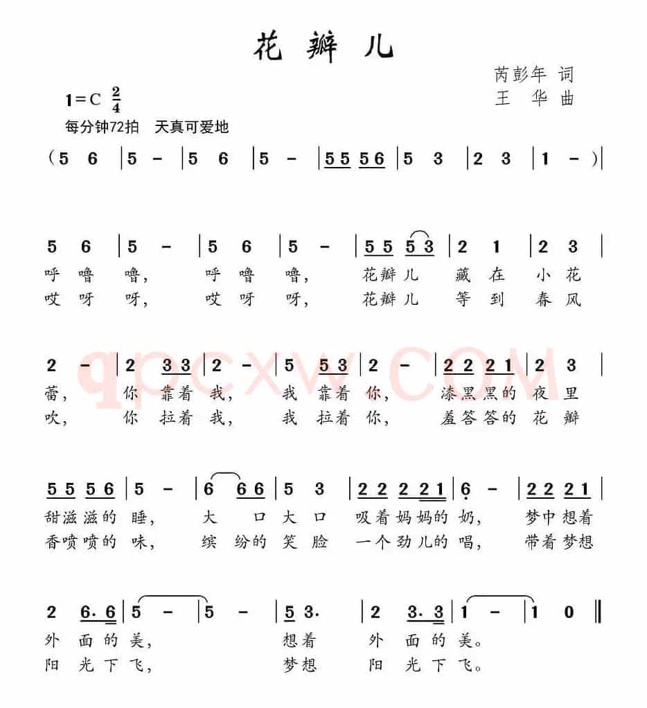 花瓣儿