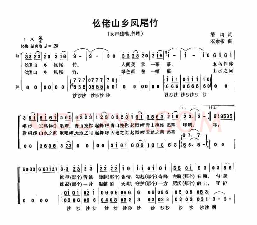 仫佬山乡凤尾竹