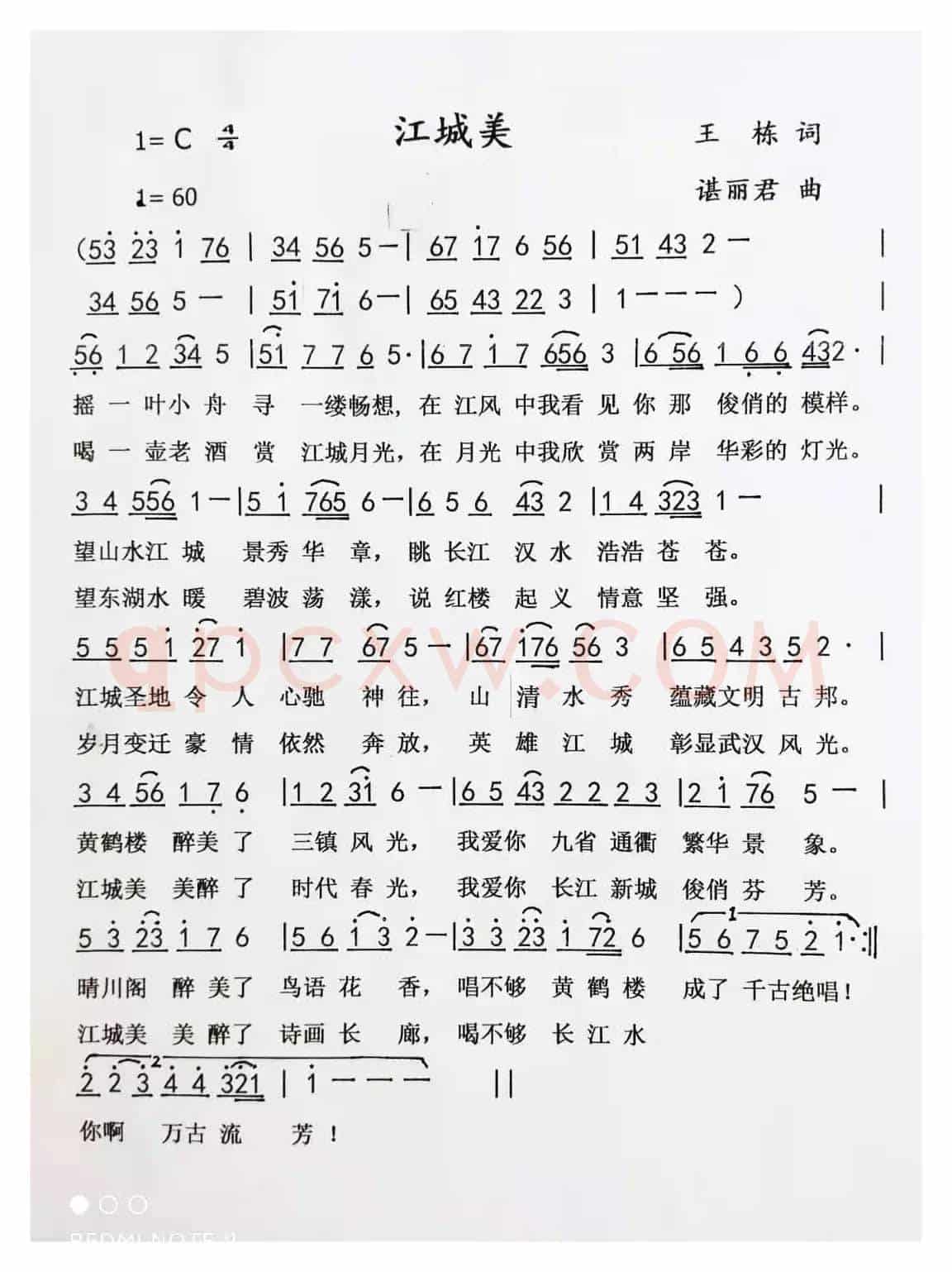 江城美