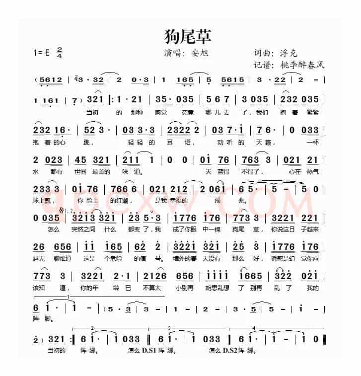 狗尾草（浮克 词曲）