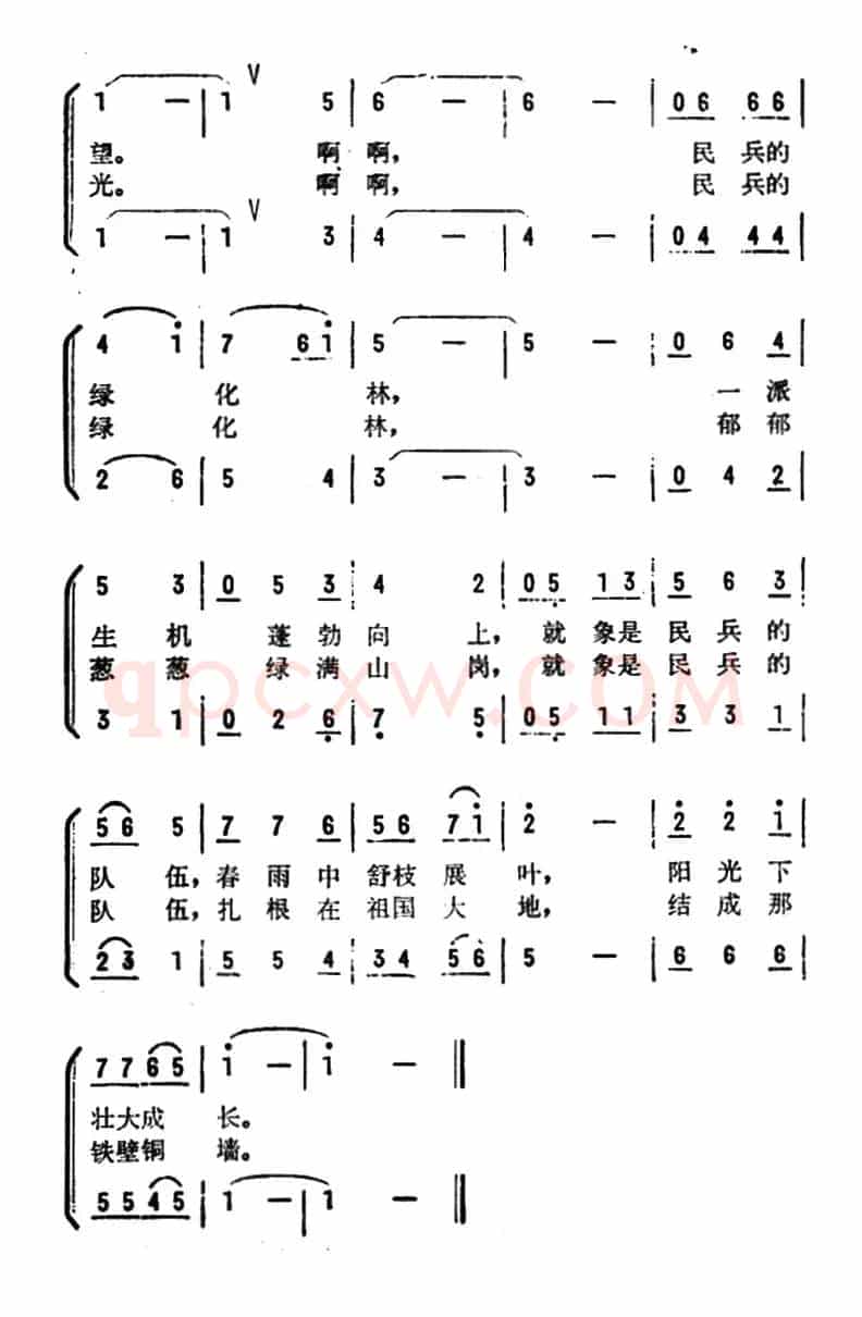 民兵的绿化林