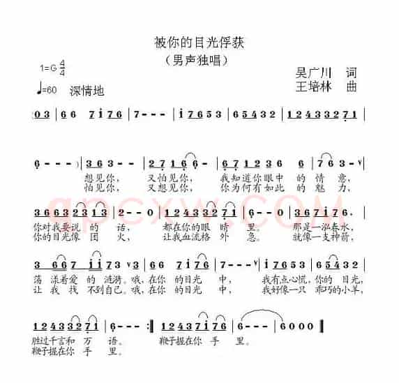 被你的目光俘获