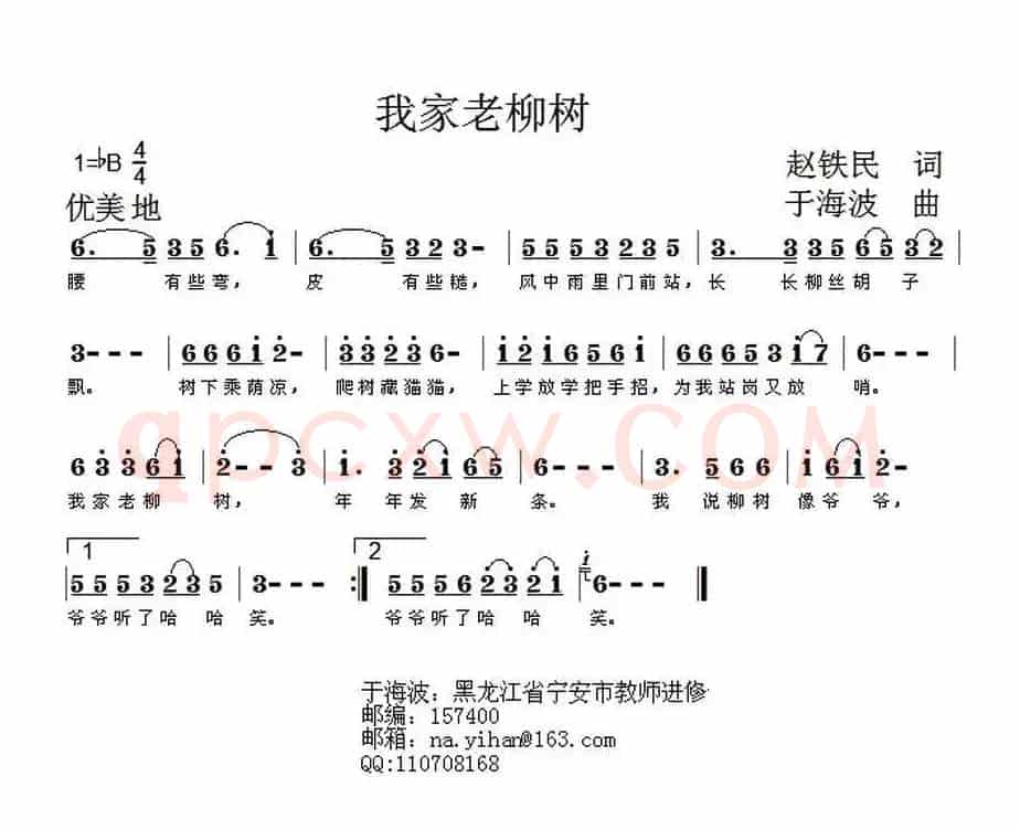 我家老柳树